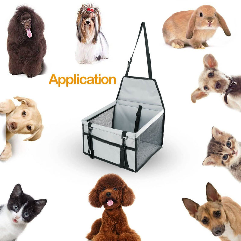 Pet Travel Carrier with Clip-On Safety Leash Zipper Storage Pocket for Pets up to 20lbs Pet Supplies - DailySale