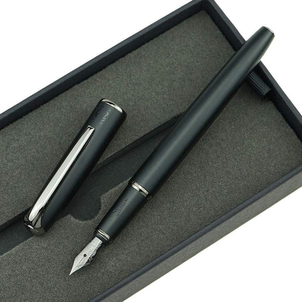 Picasso 916 Ring Fountain Pen