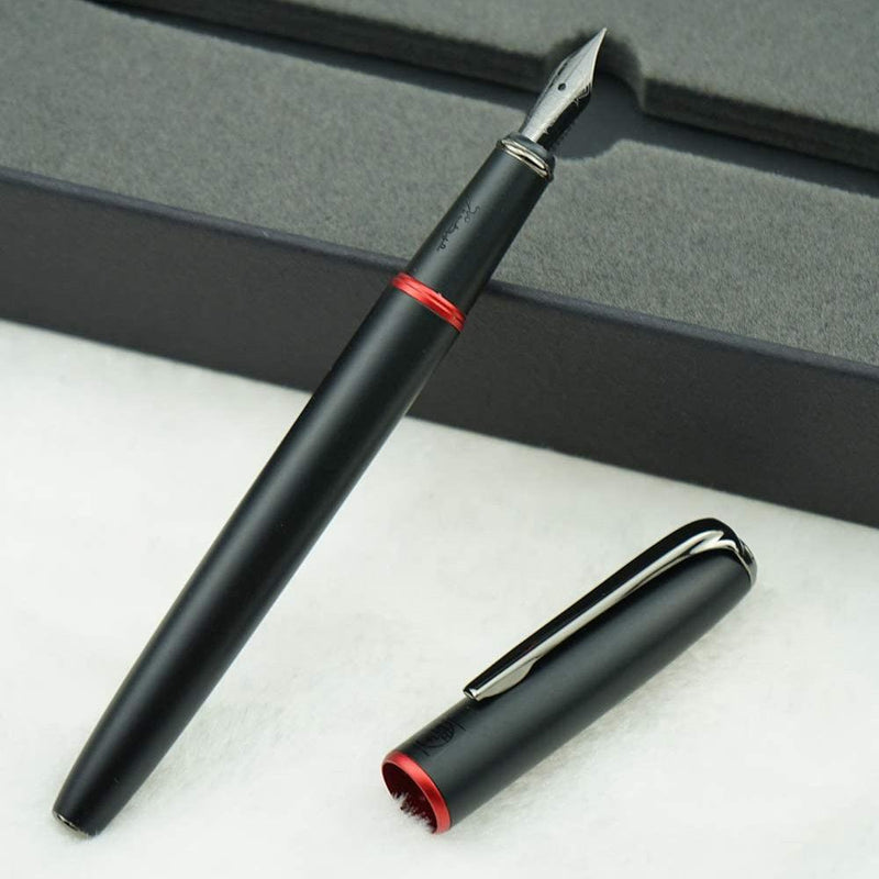 Picasso 916 Ring Fountain Pen