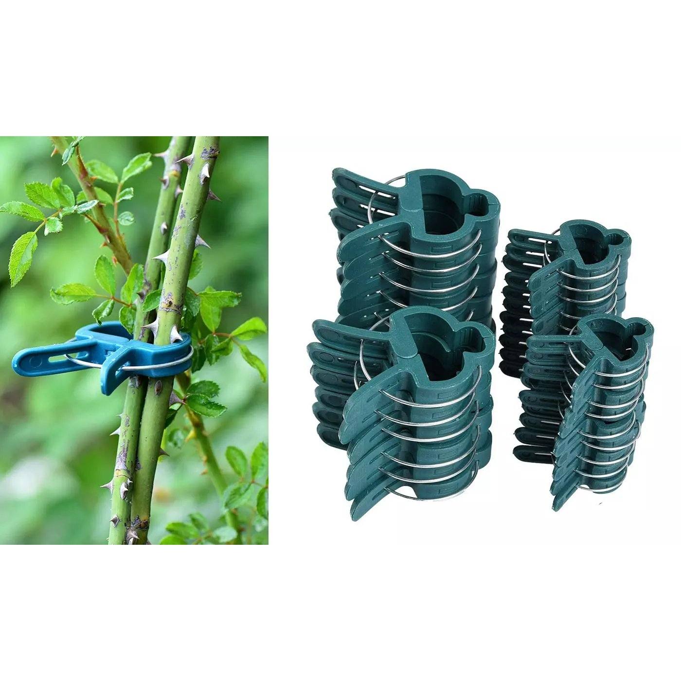 Plant Support Clips for Garden Vine to Grow Upright Garden & Patio - DailySale