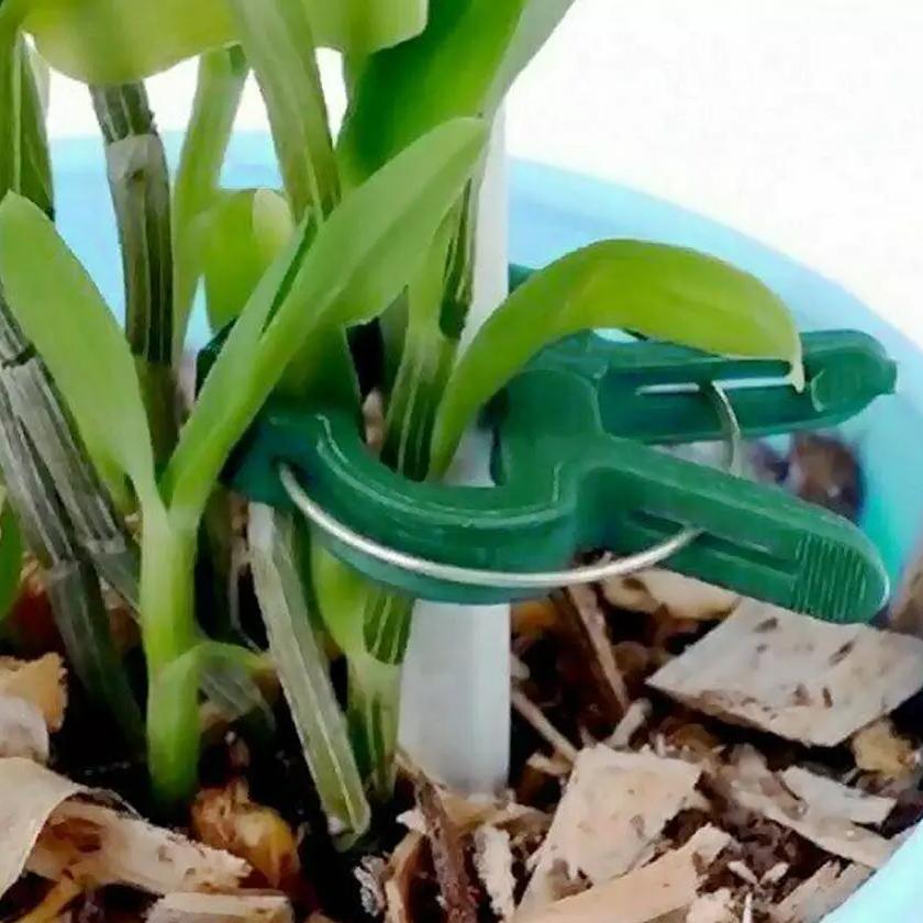 Plant Support Clips for Garden Vine to Grow Upright Garden & Patio - DailySale