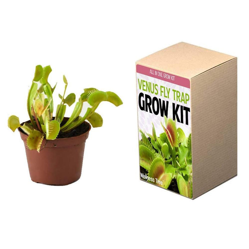 Plant Your Own Garden Grow Kit