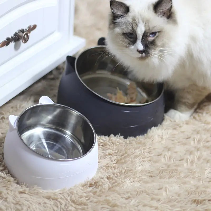 Premium Stainless Steel Cat & Dog Bowls - Non Slip Base for Food & Water Pet Supplies - DailySale