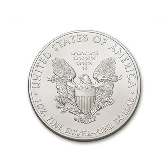 Pure Silver American Eagle Dollar Coin Home Essentials - DailySale
