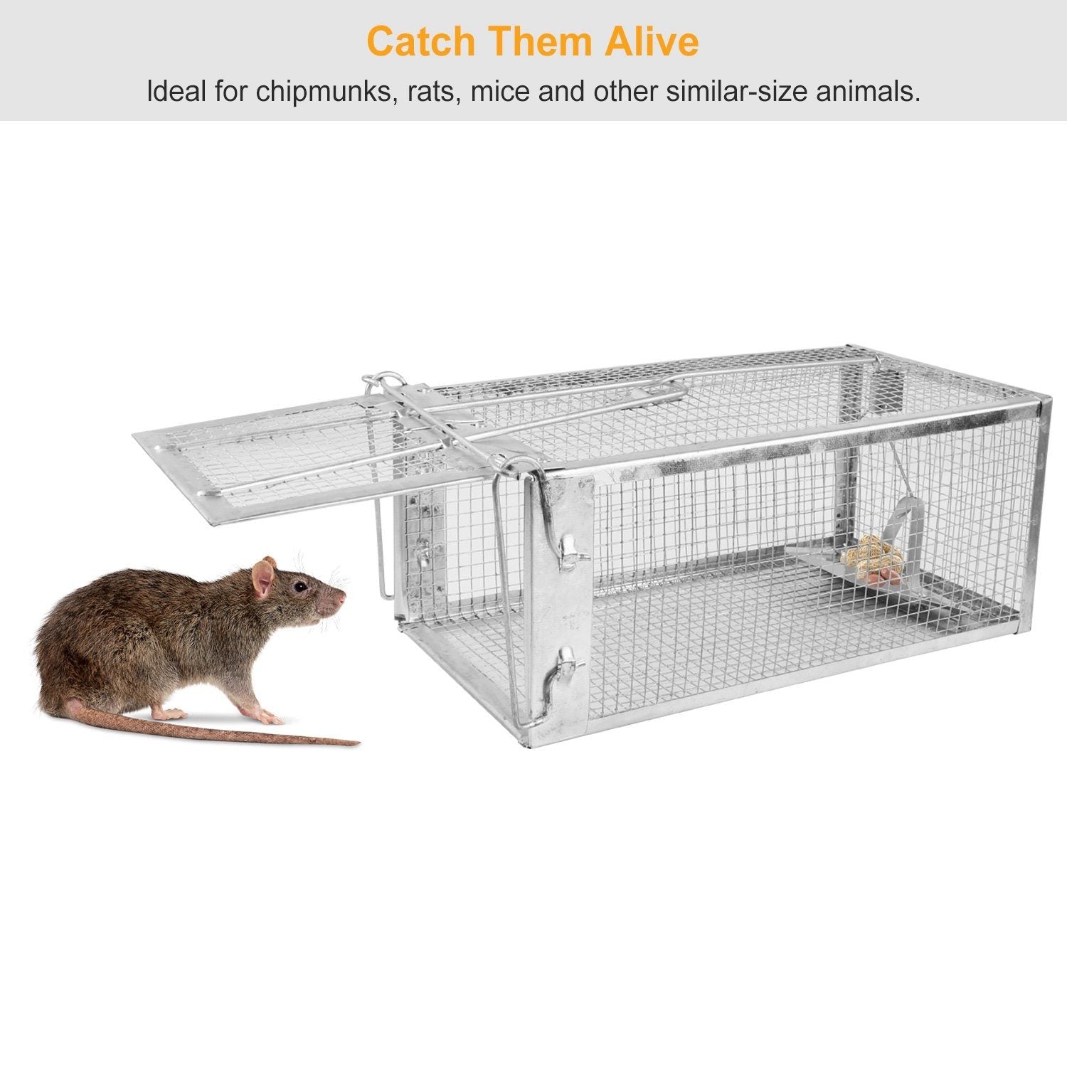 Rat Trap Cage Humane Live Rodent Pest Control - DailySale