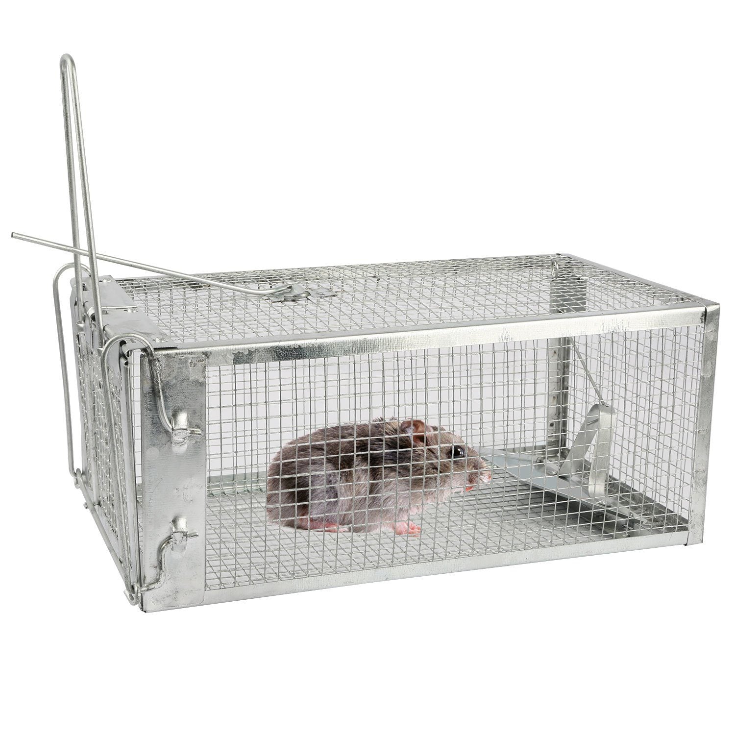 Rat Trap Cage Humane Live Rodent Pest Control - DailySale