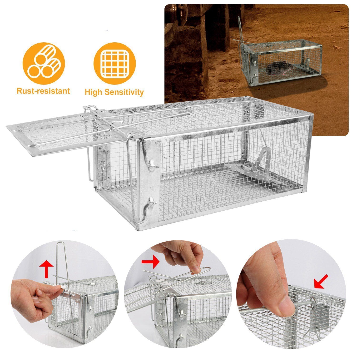 Rat Trap Cage Humane Live Rodent Pest Control - DailySale