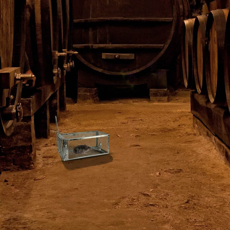 Rat Trap Cage Humane Live Rodent Pest Control - DailySale