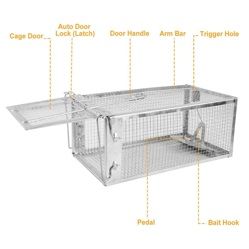 Rat Trap Cage Humane Live Rodent Pest Control - DailySale