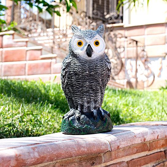 Realistic Fake Owl Outdoor Pest & Bird Deterrent Pest Control - DailySale
