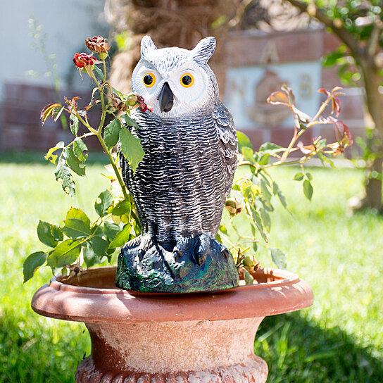 Realistic Fake Owl Outdoor Pest & Bird Deterrent Pest Control - DailySale