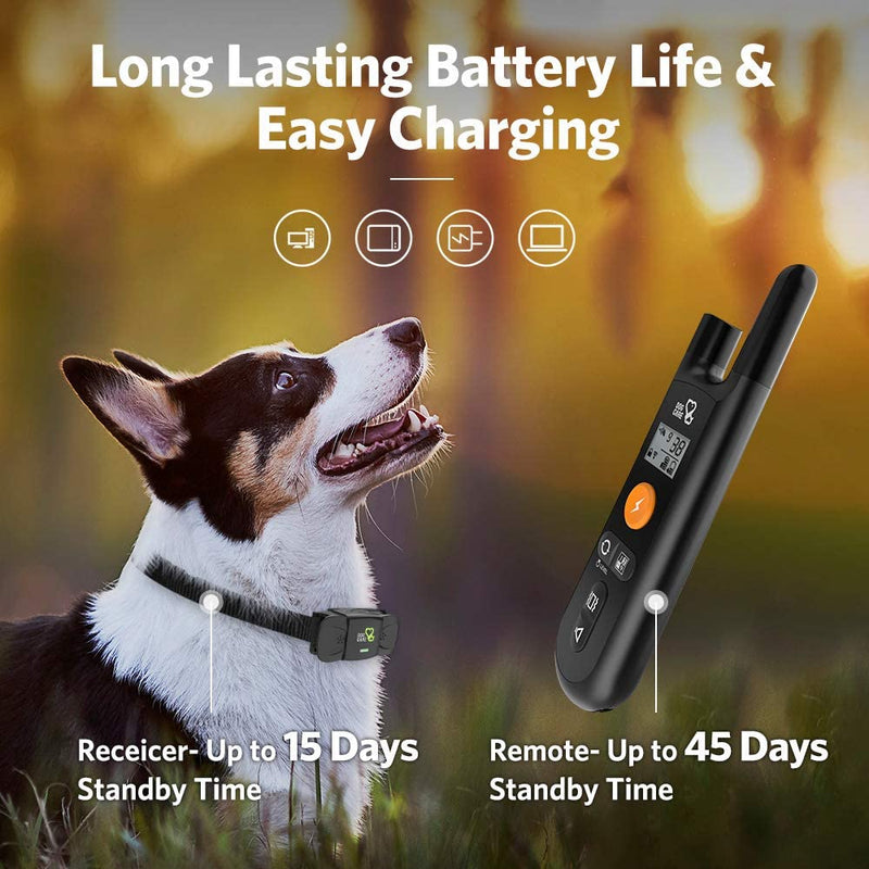 Rechargeable Dog Shock Collar Pet Supplies - DailySale