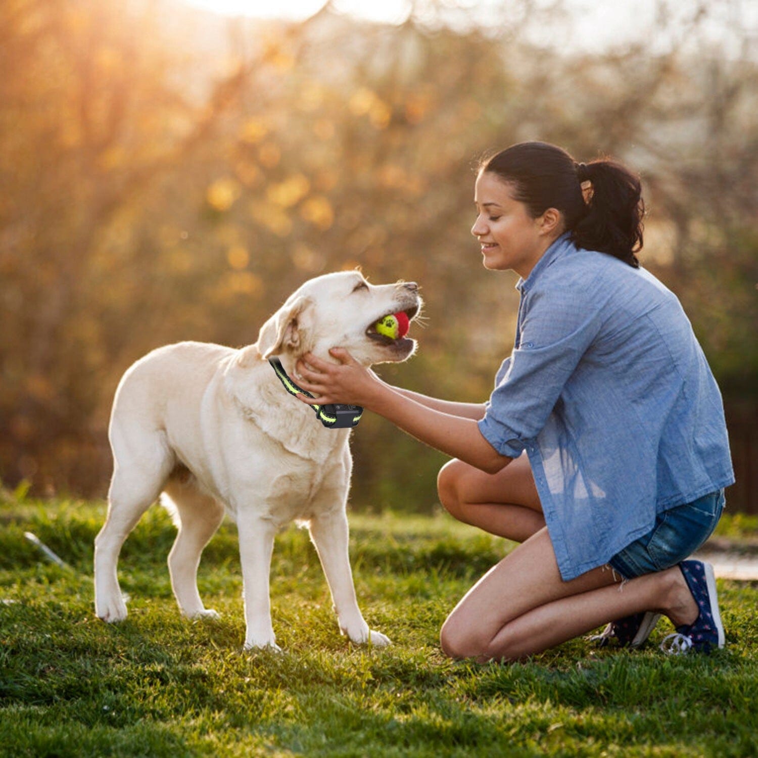 Rechargeable Waterproof Beep Vibration Static Stimulation Bark Stopper Pet Supplies - DailySale