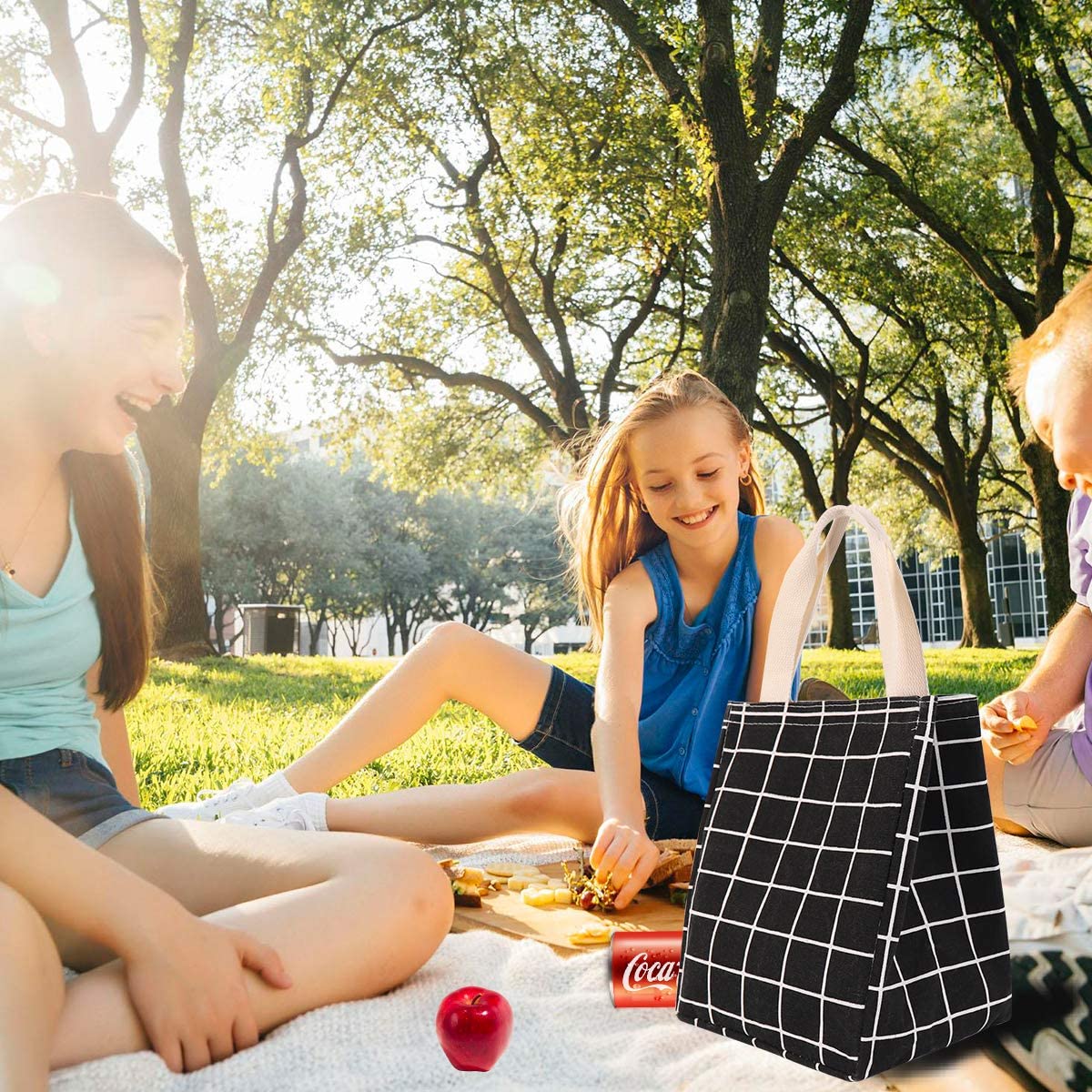 Reusable Lunch Bag Insulated Lunch Box Canvas Fabric with Aluminum Foil Bags & Travel - DailySale