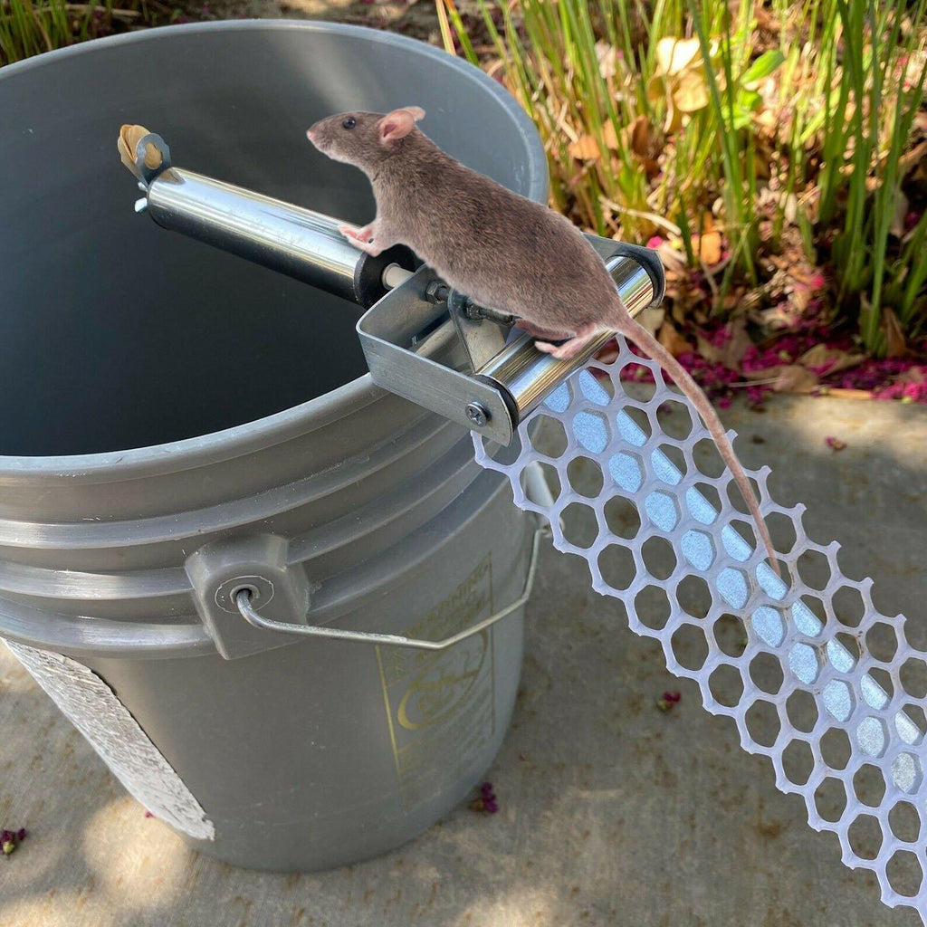 How to make a better log rolling bucket mouse trap easy DIY