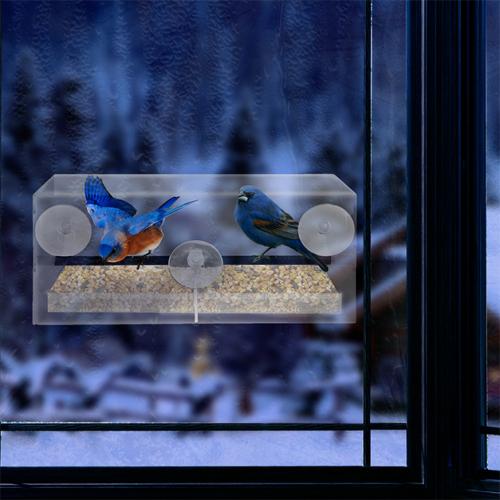 See-Through Acrylic Window Bird Feeder Pet Supplies - DailySale