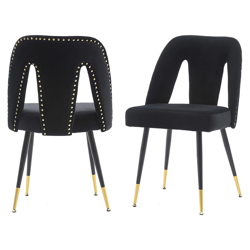 Set of 2: Modern Dining Chairs Furniture & Decor Black - DailySale