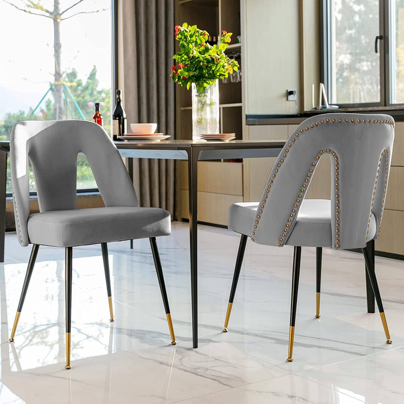 Set of 2: Modern Dining Chairs Furniture & Decor - DailySale