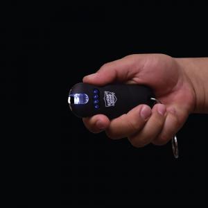 Smart 24,000,000 Keychain Stun Gun