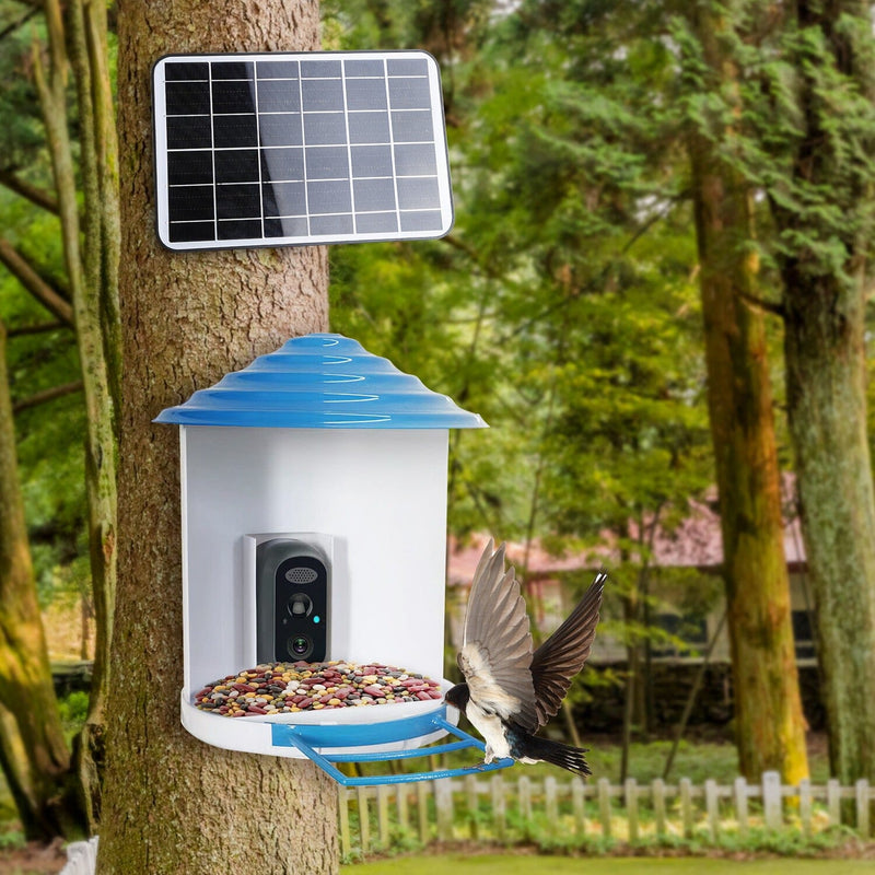 Smart Bird Feeder with Solar Powered Camera 1080P HD AI Identify PIR Pet Supplies - DailySale