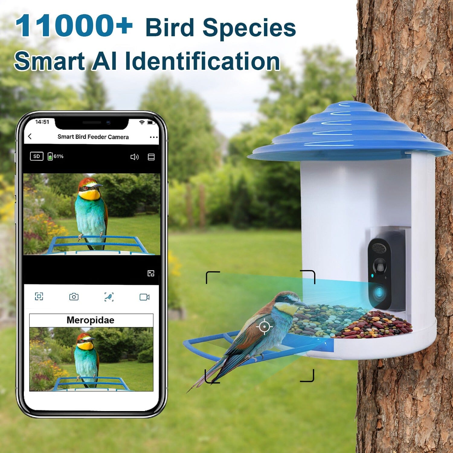 Smart Bird Feeder with Solar Powered Camera 1080P HD AI Identify PIR Pet Supplies - DailySale