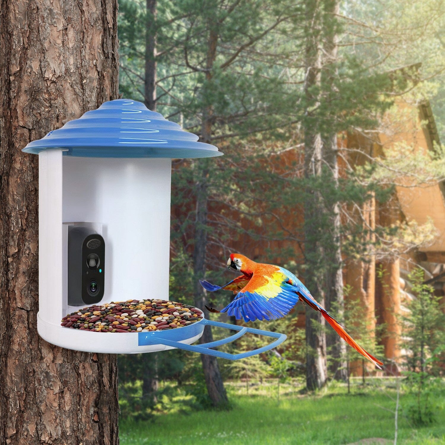 Smart Bird Feeder with Solar Powered Camera 1080P HD AI Identify PIR Pet Supplies - DailySale