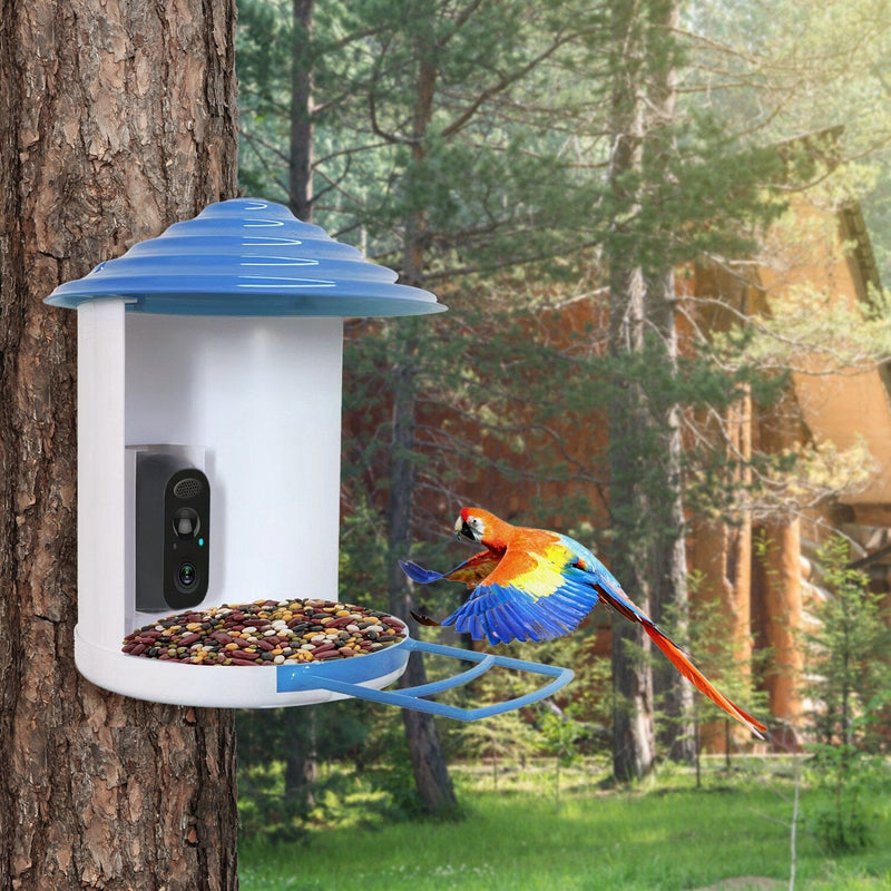 Smart Bird Feeder with Solar Powered Camera 1080P HD AI Identify PIR Pet Supplies - DailySale