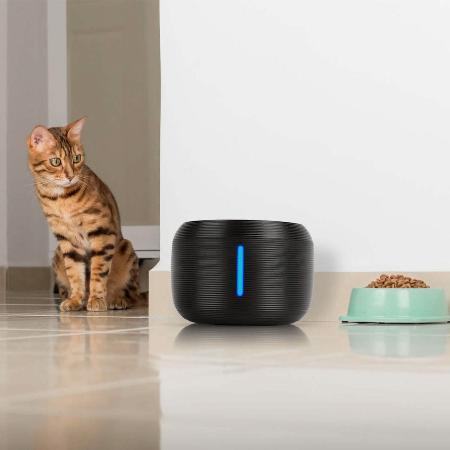 Smart Pet Drinking Fountain with LED Light 7-Pack Replaceable Water Filters Pet Supplies - DailySale