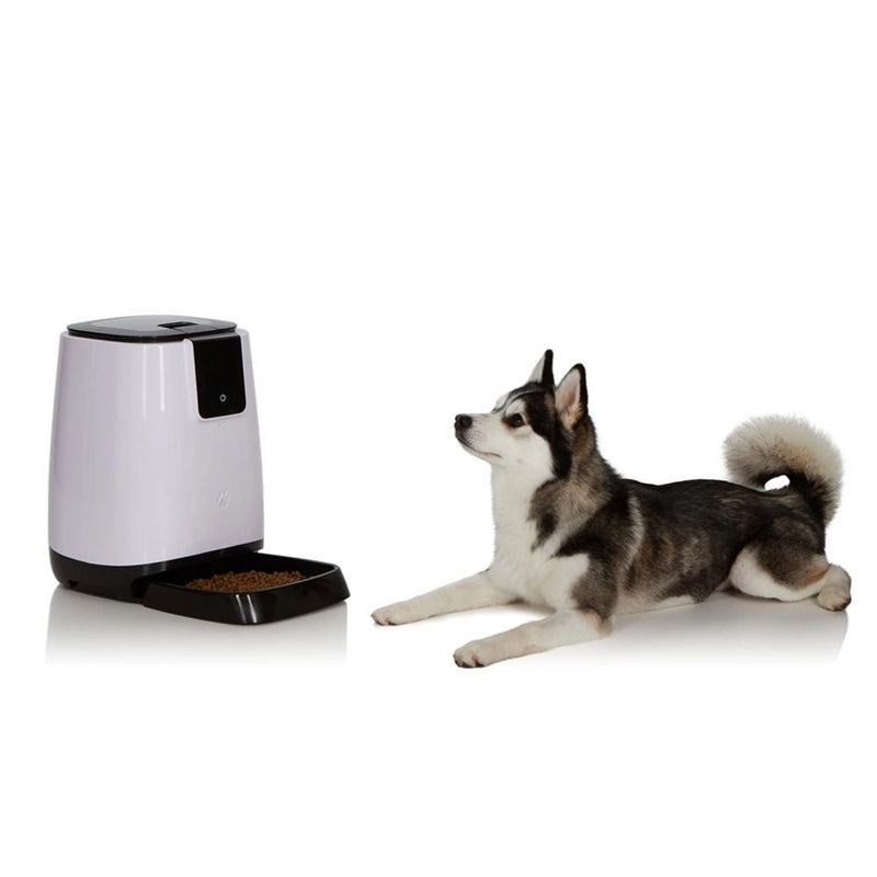 Smart Programmable Automatic Feeder for Pets Pet Supplies - DailySale