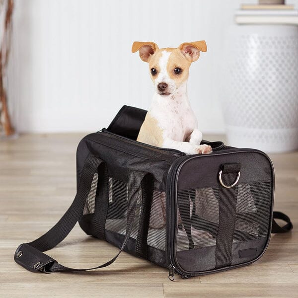 Soft-Sided Mesh Pet Travel Carrier Pet Supplies - DailySale