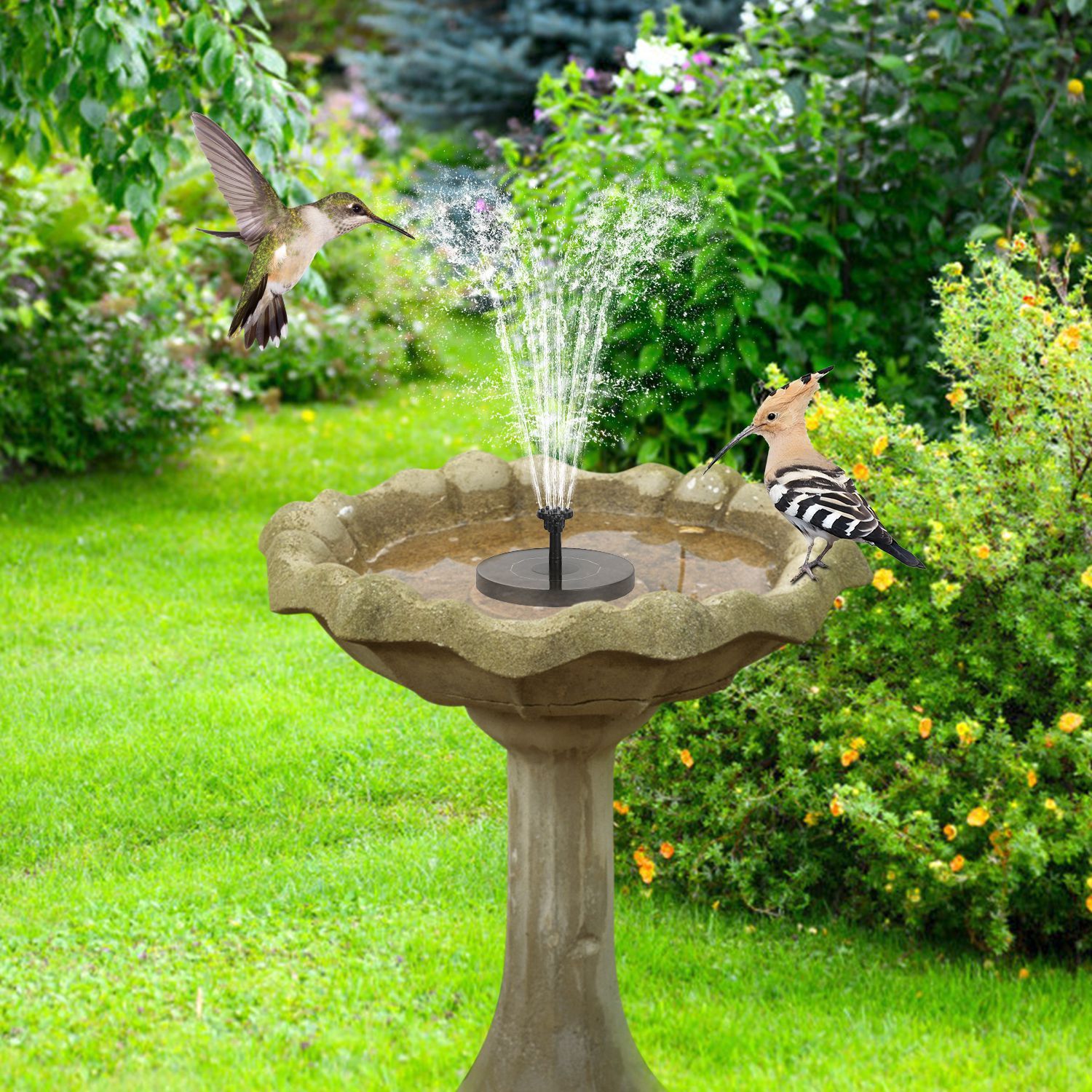 Solar Powered Fountain Pump Floating Bird Bath Pond Garden & Patio - DailySale