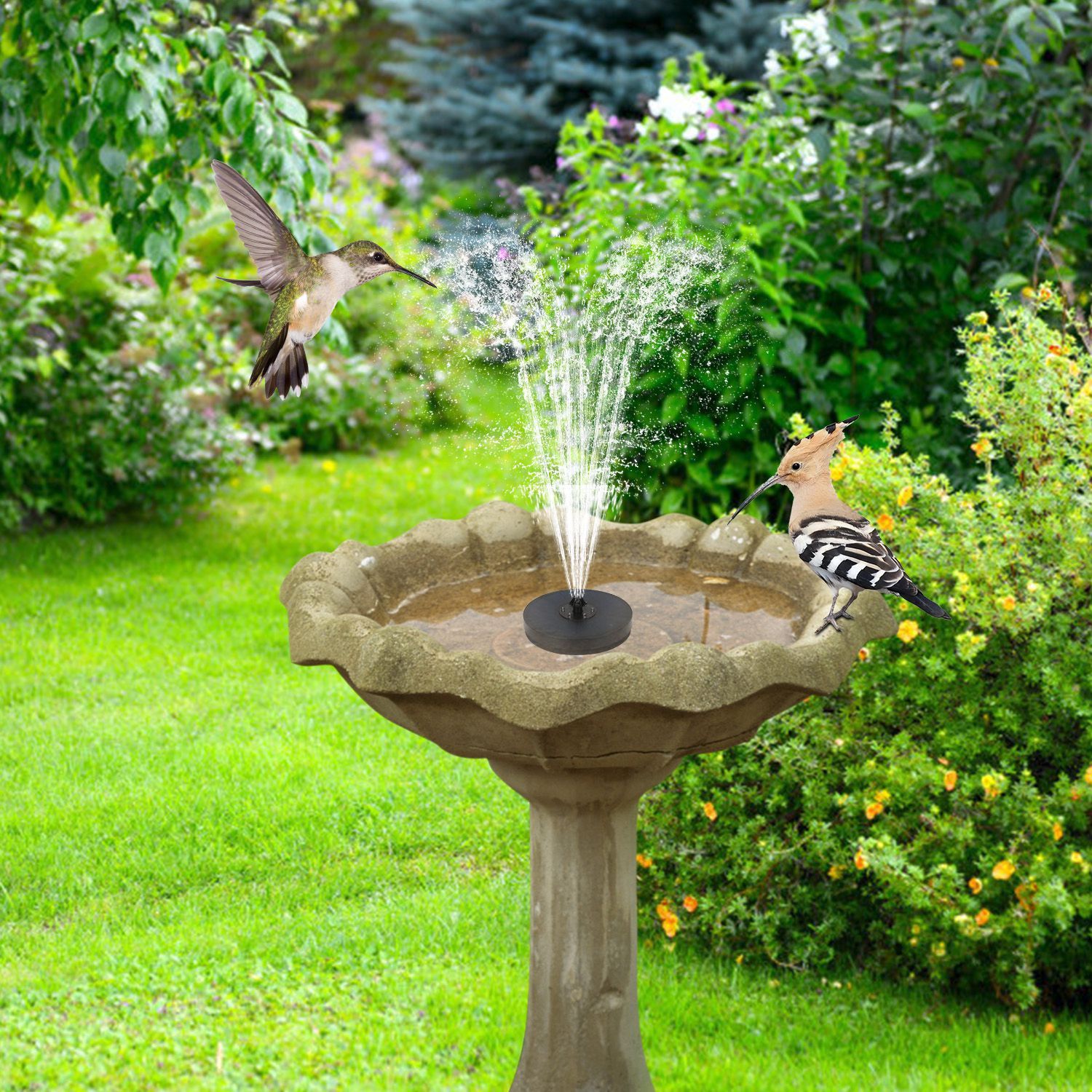 Solar Powered Fountain Pump with LED Lights Garden & Patio - DailySale