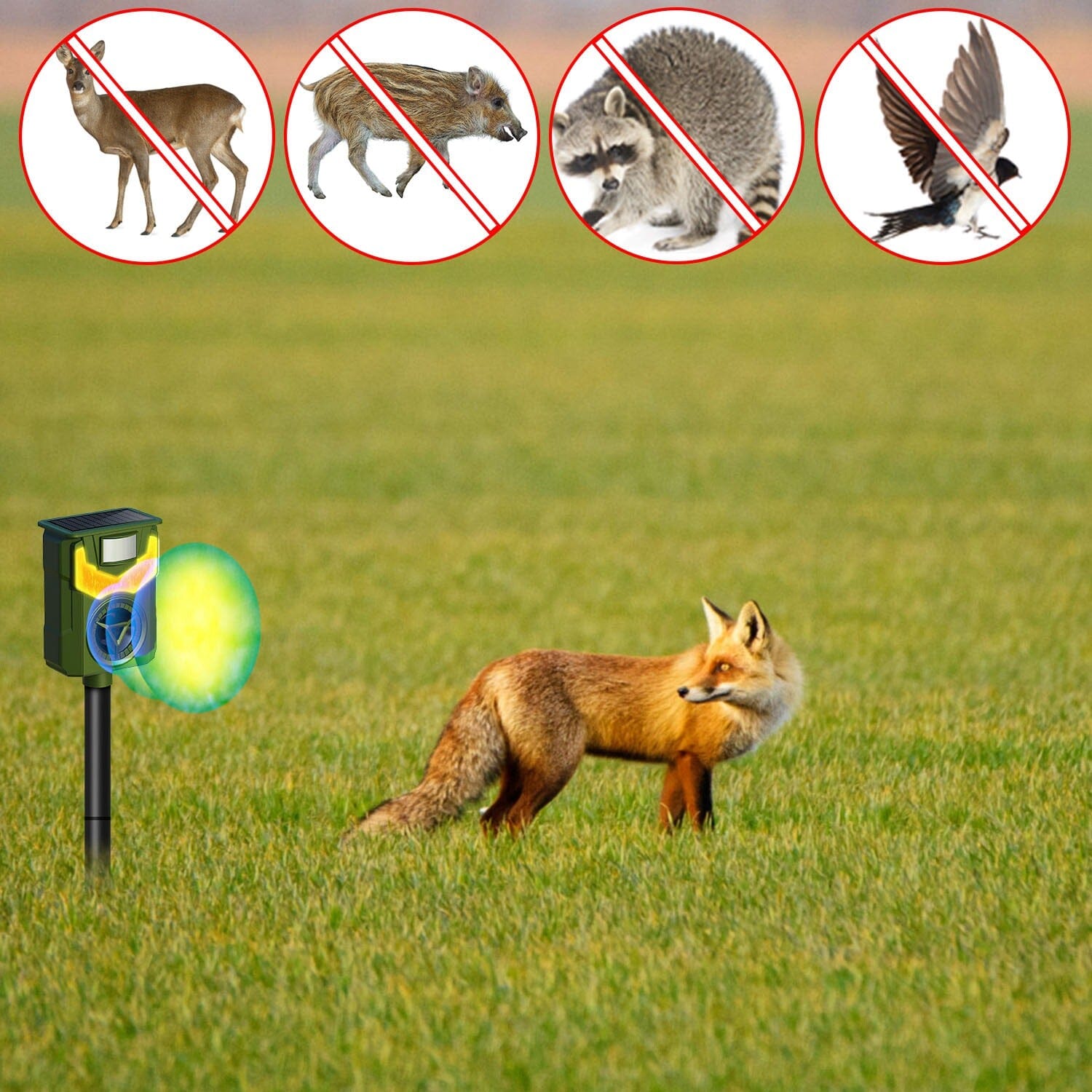 Solar Ultrasonic Animal Repeller with Flame Light USB Charge Motion Sensor Pest Control - DailySale