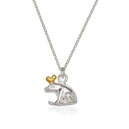 Sterling Silver Frog Charm and Chain Necklaces - DailySale