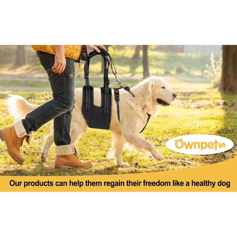 Support Harness Set Adjustable Chest Sling Strap for Elderly Disable Dog Pet Supplies - DailySale