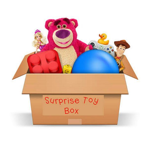 Surprise Mystery Toy Tanga Box Toys & Games - DailySale