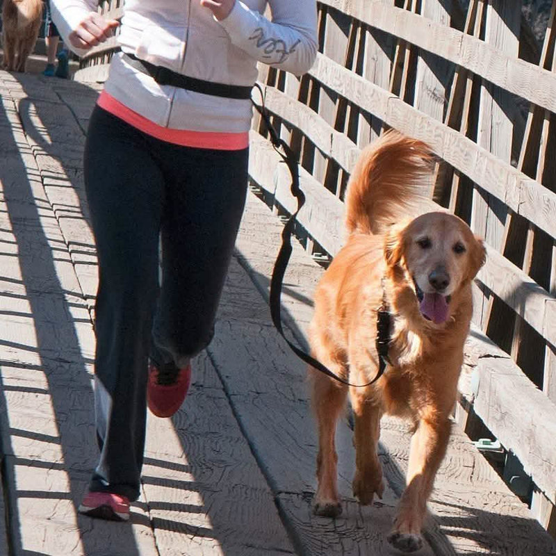 The Buddy System Adjustable Hands Free Dog Leash Pet Supplies - DailySale