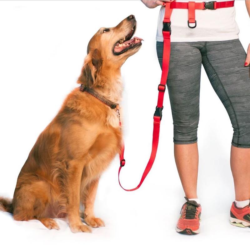 The Buddy System Adjustable Hands Free Dog Leash Pet Supplies Red - DailySale