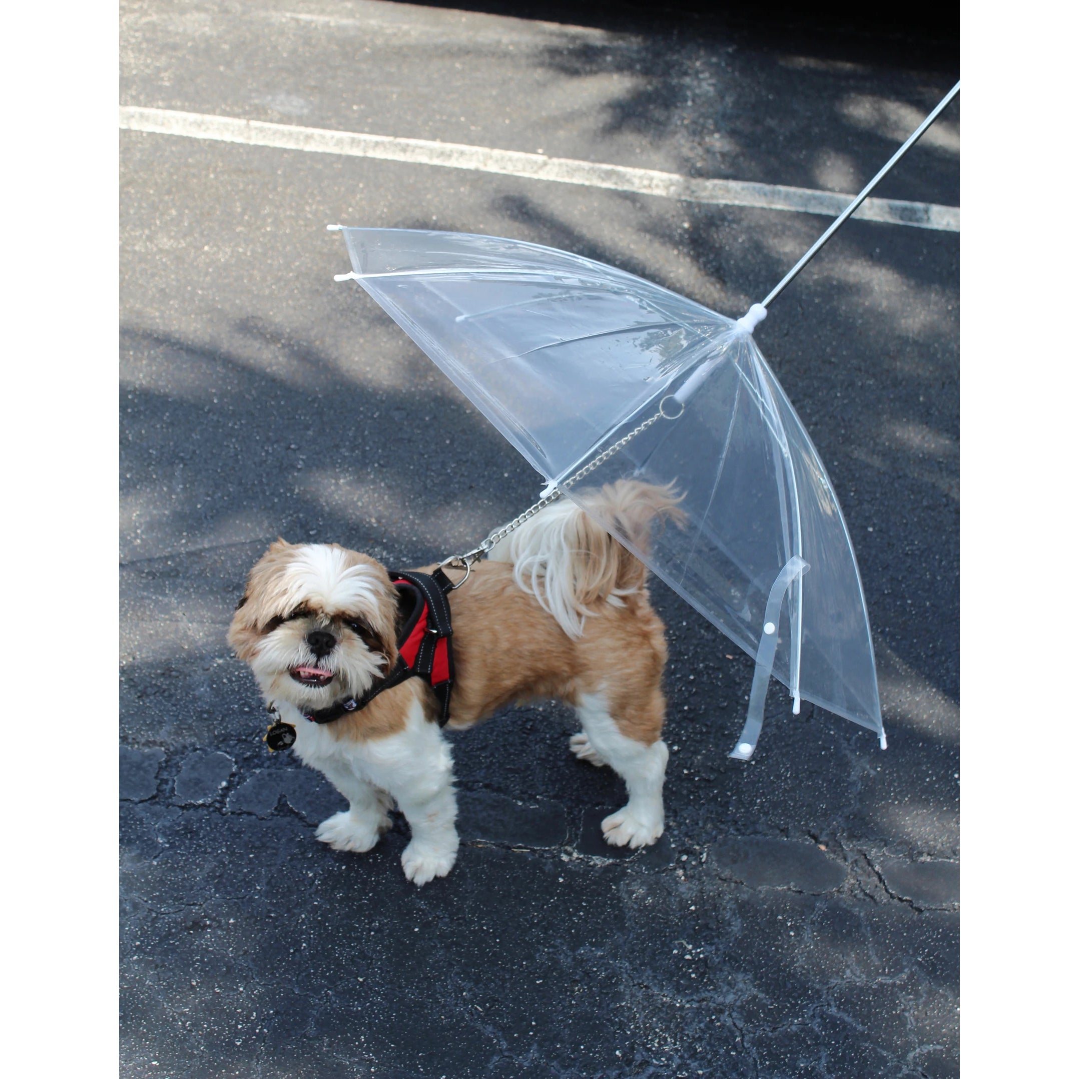 Transparent Outdoor Dog or Puppy Umbrella with Chain Leash Pet Supplies - DailySale