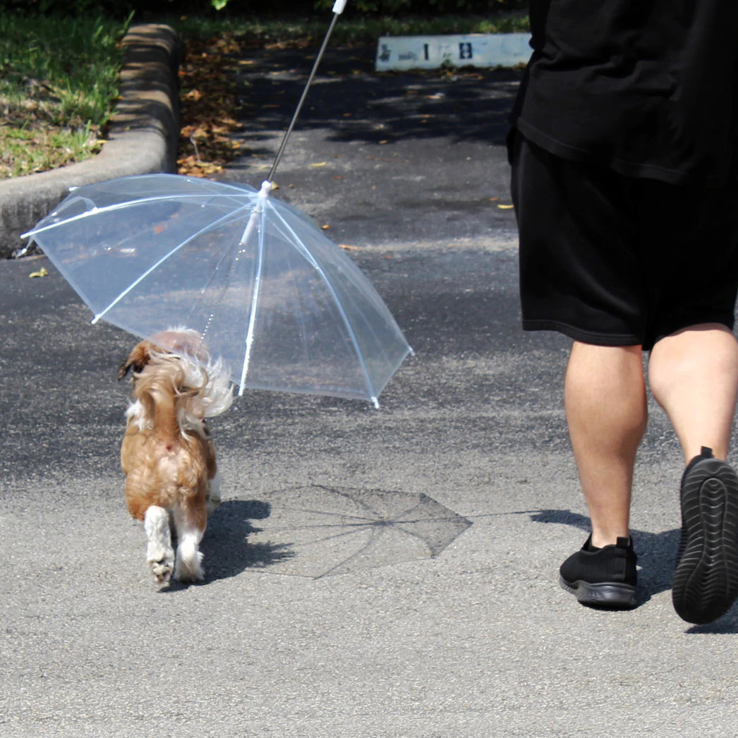 Transparent Outdoor Dog or Puppy Umbrella with Chain Leash Pet Supplies - DailySale