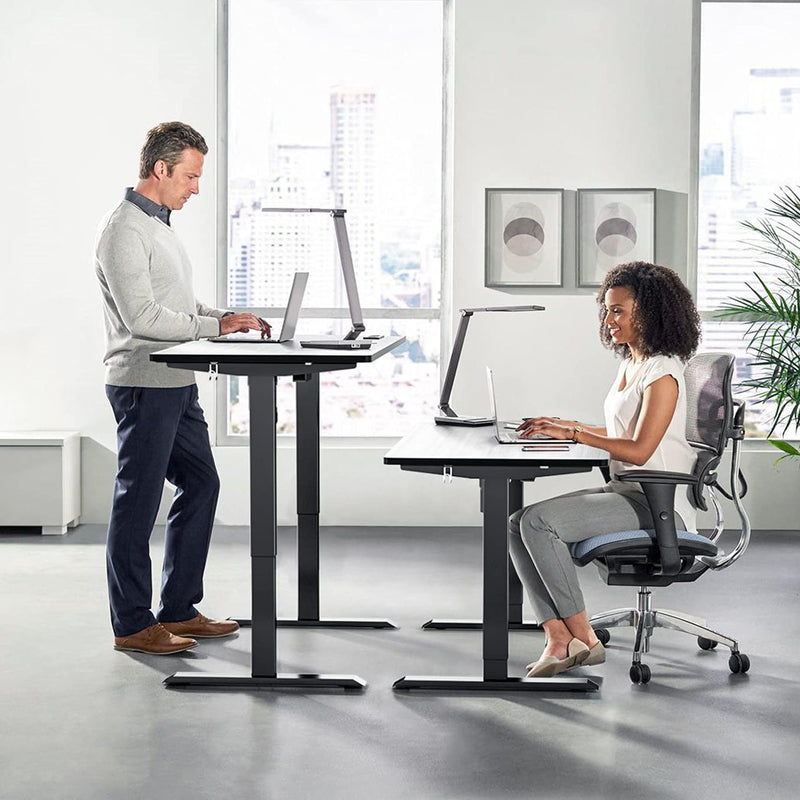 TTKK Electric Standing Desk Furniture & Decor - DailySale