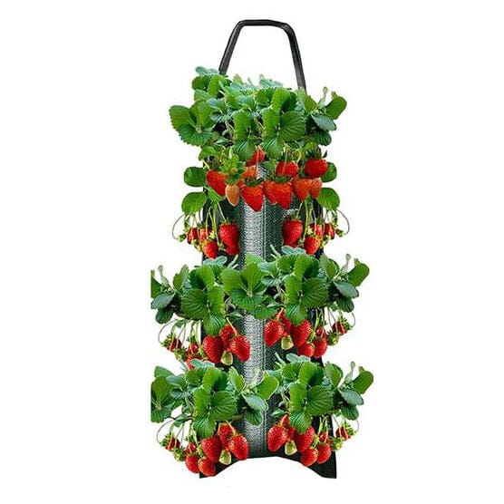 Upside Down Tomato Grow Bag Garden & Patio Green - DailySale