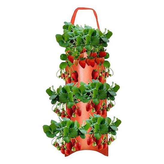 Upside Down Tomato Grow Bag Garden & Patio Red - DailySale