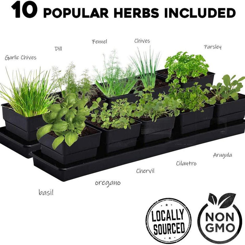 Windowsill Garden Herb Kit Garden & Patio - DailySale