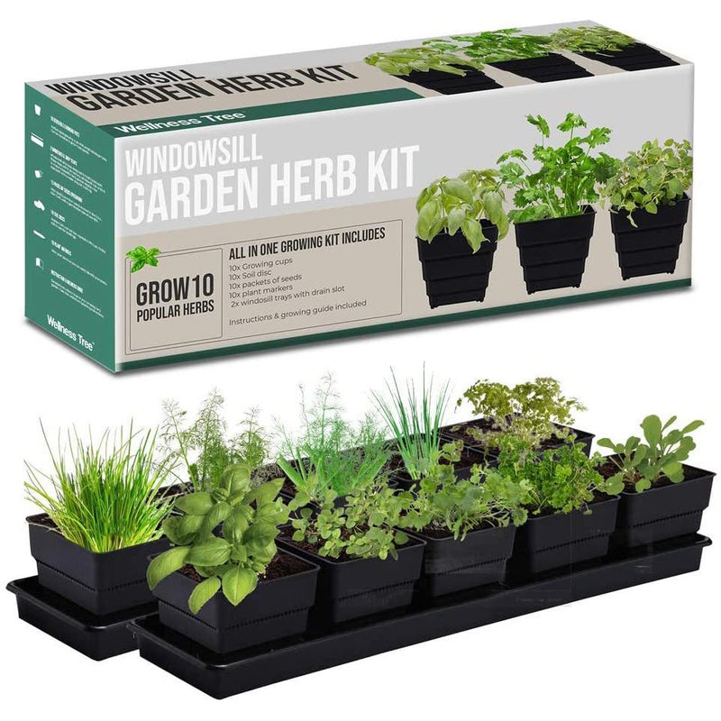 Windowsill Garden Herb Kit Garden & Patio - DailySale